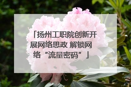扬州工职院创新开展网络思政 解锁网络“流量密码”