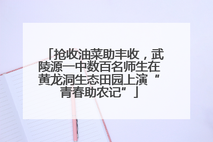 抢收油菜助丰收，武陵源一中数百名师生在黄龙洞生态田园上演“青春助农记”