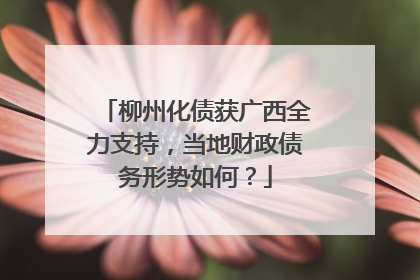 柳州化债获广西全力支持，当地财政债务形势如何？