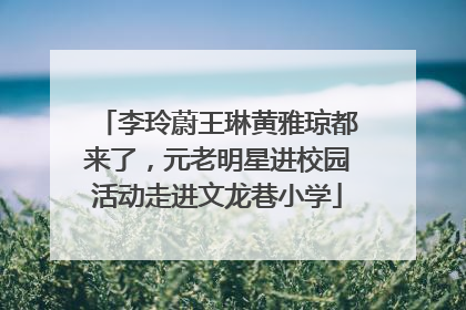 李玲蔚王琳黄雅琼都来了，元老明星进校园活动走进文龙巷小学
