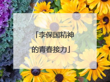 李保国精神的青春接力