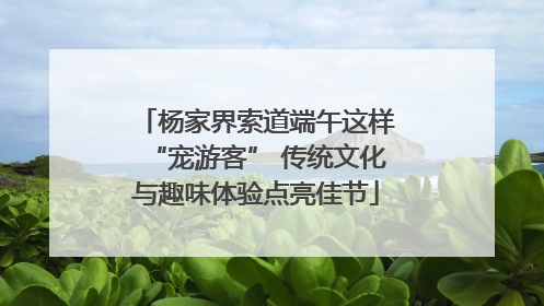 杨家界索道端午这样“宠游客” 传统文化与趣味体验点亮佳节