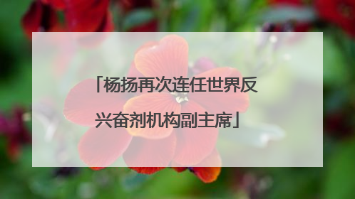 杨扬再次连任世界反兴奋剂机构副主席