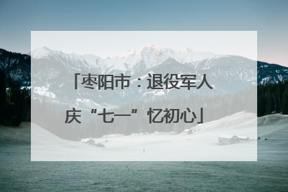枣阳市：退役军人庆“七一”忆初心