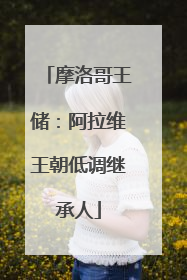 摩洛哥王储：阿拉维王朝低调继承人