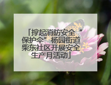 撑起消防安全“保护伞”杨园街道柴东社区开展安全生产月活动