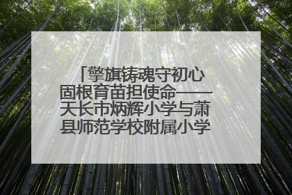擎旗铸魂守初心 固根育苗担使命——天长市炳辉小学与萧县师范学校附属小学结对共建活动纪实