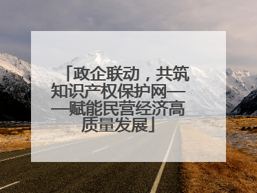 政企联动，共筑知识产权保护网——赋能民营经济高质量发展