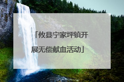 攸县宁家坪镇开展无偿献血活动