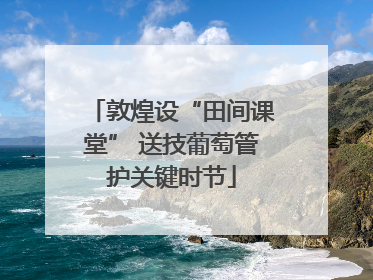 敦煌设“田间课堂” 送技葡萄管护关键时节