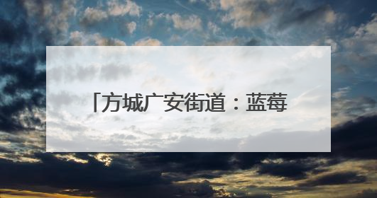 方城广安街道：蓝莓结出 “致富果” 绘就乡村振兴新图景