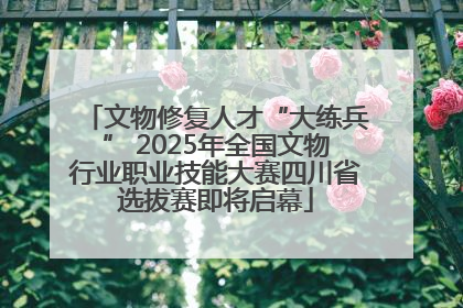 文物修复人才“大练兵” 2025年全国文物行业职业技能大赛四川省选拔赛即将启幕