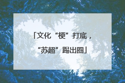 文化“梗”打底，“苏超”踢出圈