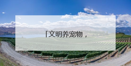 文明养宠物，蔚然树新风