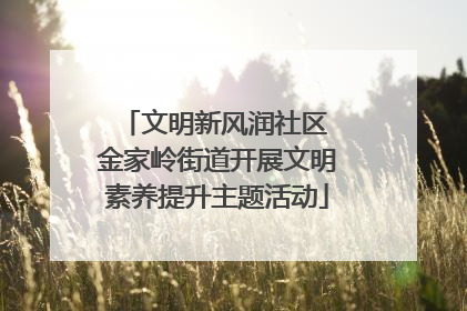 文明新风润社区 金家岭街道开展文明素养提升主题活动