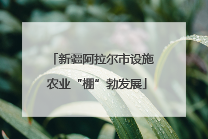 新疆阿拉尔市设施农业“棚”勃发展