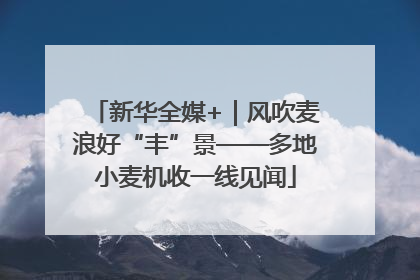 新华全媒+｜风吹麦浪好“丰”景——多地小麦机收一线见闻