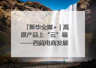 新华全媒+｜高原产品上“云”端——西藏电商发展一线观察