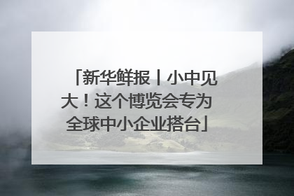 新华鲜报丨小中见大！这个博览会专为全球中小企业搭台