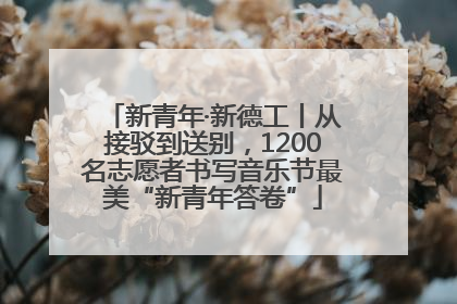 新青年·新德工丨从接驳到送别，1200名志愿者书写音乐节最美“新青年答卷”