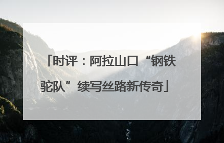 时评：阿拉山口“钢铁驼队”续写丝路新传奇