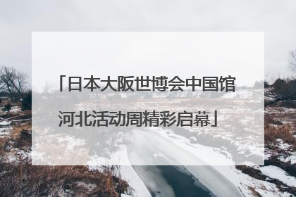 日本大阪世博会中国馆河北活动周精彩启幕