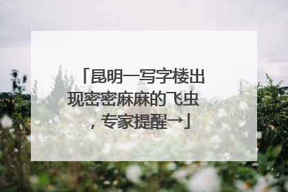 昆明一写字楼出现密密麻麻的飞虫，专家提醒→