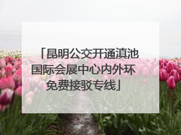 昆明公交开通滇池国际会展中心内外环免费接驳专线