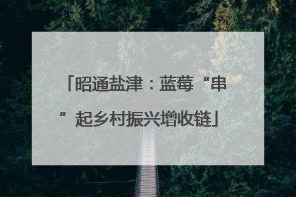 昭通盐津：蓝莓“串”起乡村振兴增收链