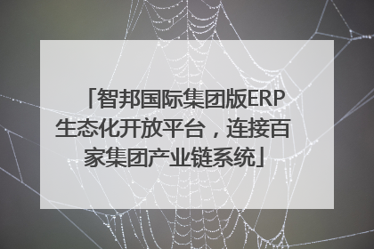 智邦国际集团版ERP生态化开放平台，连接百家集团产业链系统