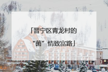 晋宁区青龙村的“菌”情致富路