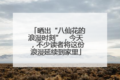 晒出“八仙花的浪漫时刻”，今天，不少读者将这份浪漫延续到家里