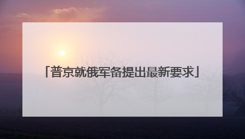 普京就俄军备提出最新要求