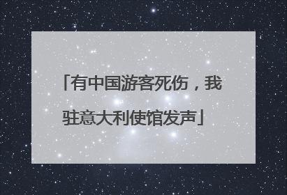 有中国游客死伤，我驻意大利使馆发声