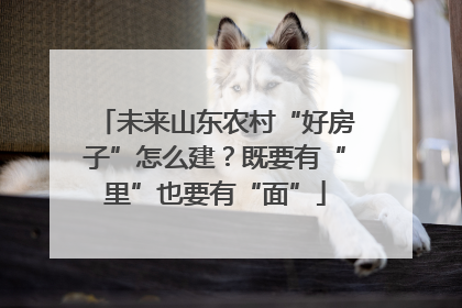 未来山东农村“好房子”怎么建？既要有“里”也要有“面”