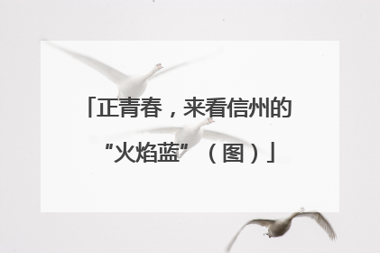 正青春，来看信州的“火焰蓝”（图）