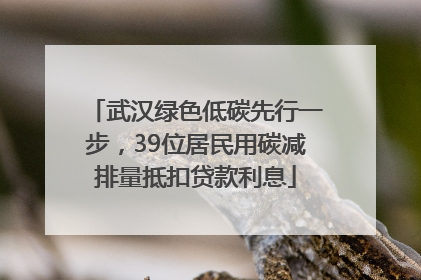 武汉绿色低碳先行一步，39位居民用碳减排量抵扣贷款利息