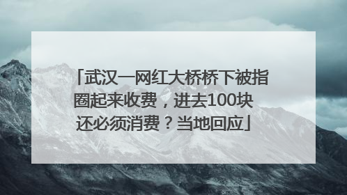 武汉一网红大桥桥下被指圈起来收费，进去100块还必须消费？当地回应
