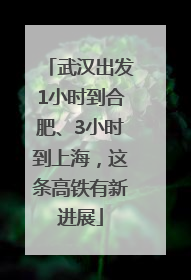 武汉出发1小时到合肥、3小时到上海，这条高铁有新进展