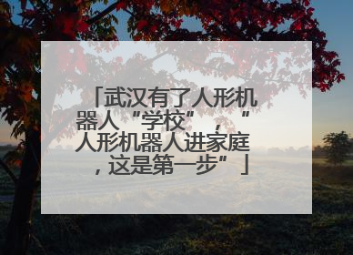 武汉有了人形机器人“学校”，“人形机器人进家庭，这是第一步”