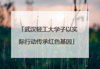武汉轻工大学子以实际行动传承红色基因