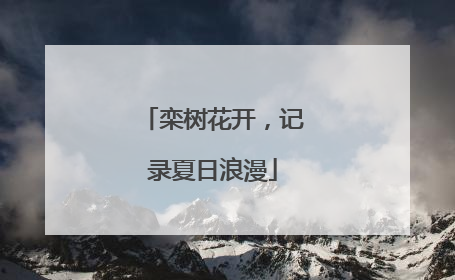 栾树花开，记录夏日浪漫