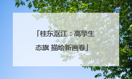桂东沤江：高擎生态旗 描绘新画卷