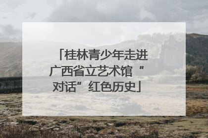 桂林青少年走进广西省立艺术馆“对话”红色历史