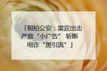 桐柏公安：雷霆出击严查“小广告” 斩断电诈“黑引流”