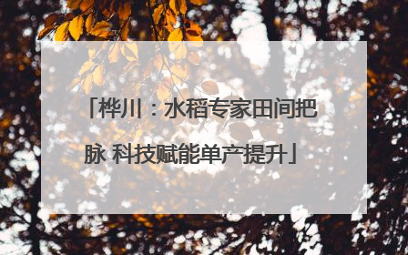 桦川：水稻专家田间把脉 科技赋能单产提升