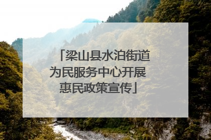 梁山县水泊街道为民服务中心开展惠民政策宣传