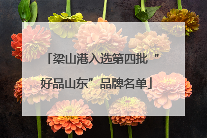 梁山港入选第四批“好品山东”品牌名单