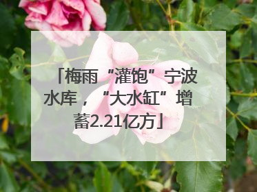 梅雨“灌饱”宁波水库，“大水缸”增蓄2.21亿方