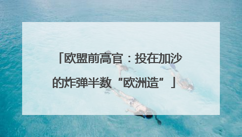欧盟前高官：投在加沙的炸弹半数“欧洲造”